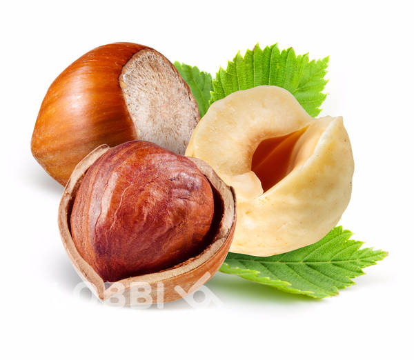 Hazelnut flavour LB 034