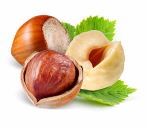 Hazelnut flavour LB 034