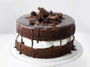 ROYAL GENOISE Schoko Sponge cake 100% Mix