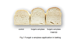 Alpha-amylase