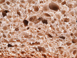 Xylanase mold