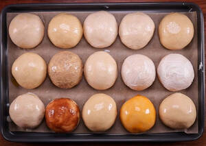 GOLDEN GLOW Ready-to-use egg alternative